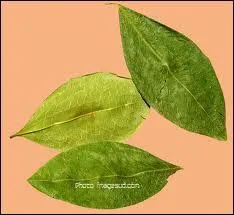 Les mcher vous transporte !