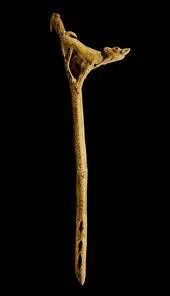 Ca permettait un jet plus long et plus puissant ...