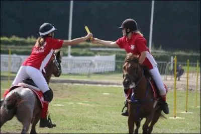 Quelle est cette activit questre ?