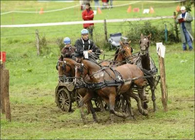 Quelle est cette discipline ?