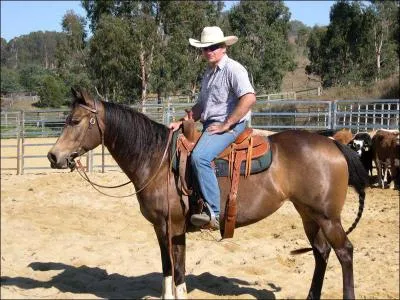 Quelle est cette faon de monter ?