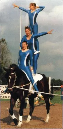 Quelle discipline consiste  faire des accrobaties  cheval ?