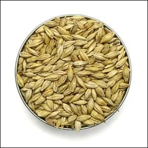 Qu'est-ce que c'est ?