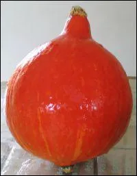 Quelle est cette couleur ?