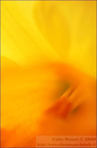 Quelle est cette couleur ?