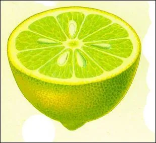 Quelle est cette couleur ?