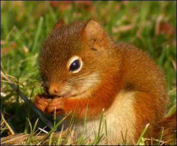 Quelle est cette couleur ?