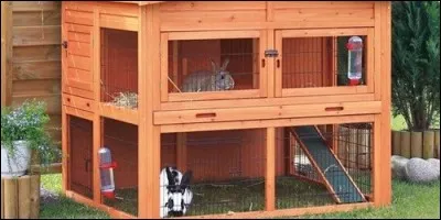 A la ferme, dans quoi vit le lapin ?
