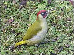 On l'aperoit de plus en plus frquemment, le ...