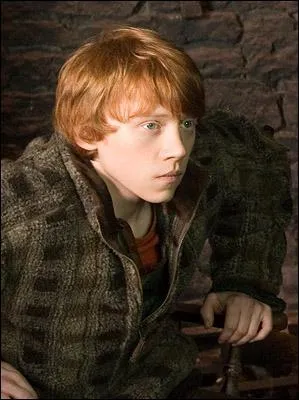 Combien de frres et soeurs Ron a-t-il ?