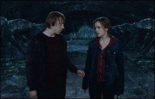 Combien d'enfants ont Ron et Hermione ?