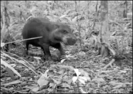 Il vous semble le reconna�tre ...