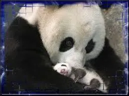 Pour les chinois, il est un symbole !