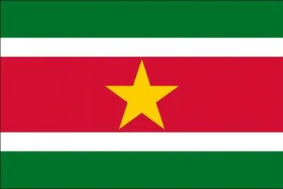 A quel pays appartient ce drapeau ?