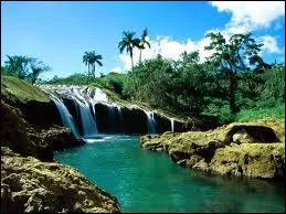 Quelle est la plus grande le des Carabes ?