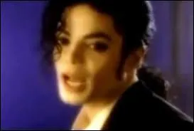 Cette photo est tire d' une vido, laquelle ?