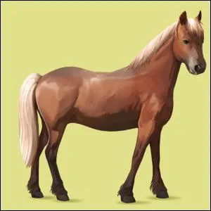 Les chevaux aiment :