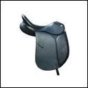 Quand on met la selle et le tapis de selle sur le dos du cheval, on dit :