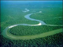 Son dbit serait gal  celui des autres fleuves de la plante runis. De quel fleuve s'agit-il ?