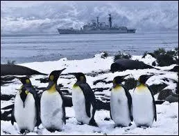 Pouvez-vous localiser les les Malouines (Falkland) ?