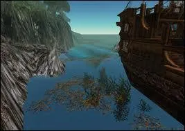 Quelle est cette mer souvent calme et remplie d'algues, connue pour avoir ralenti Christophe Colomb dans son voyage ?