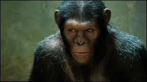 Pierre Boulle, Charlton Heston, Tim Burton !