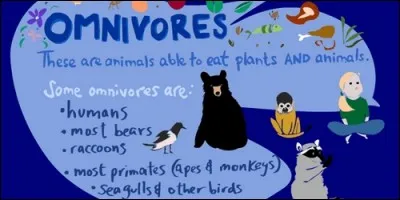 Les omnivores sont des animaux qui se nourrissent de chair humaine.