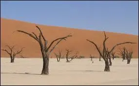 Dans quel pays se trouve la Vallée de la Mort ?