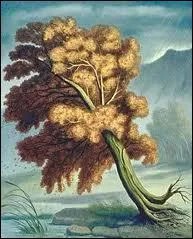 L'un des deux n'est pas peuplier ! Cont par un admirateur d'Esope !