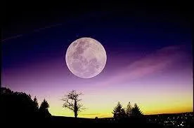 Laquelle de ces affirmations est fausse ?