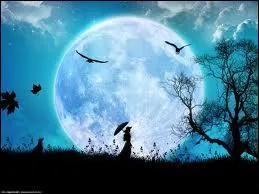 Laquelle de ces affirmations est fausse ?