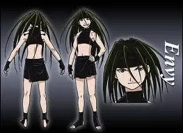 Envy reprsente quoi ?