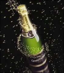 A l'occasion d'une fte qu'allez-vous dboucher ?