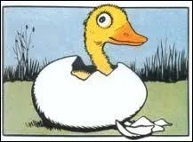 Quel est ce canard cr par Benjamin Rabier ?