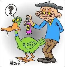 Comment tait prpar le canard laqu dans la tradition chinoise antique, avant d'tre suspendu pour le faire scher ?