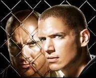 Quel est le titre de cette srie ?