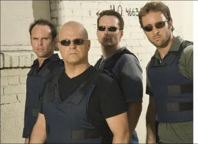 Quel est le titre de cette srie ?