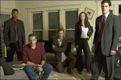 Quel est le titre de cette srie ?