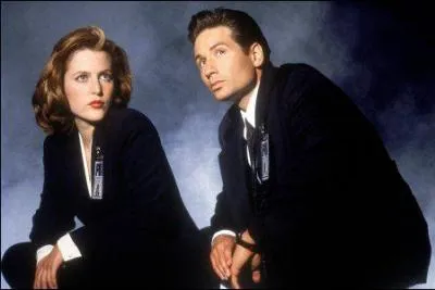 Quel est le titre de cette srie ?