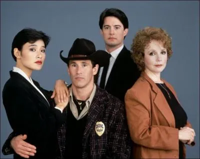 Quel est le titre de cette srie ?