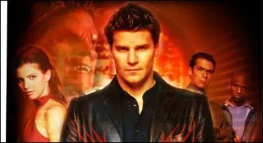 Quel est le titre de cette srie ?