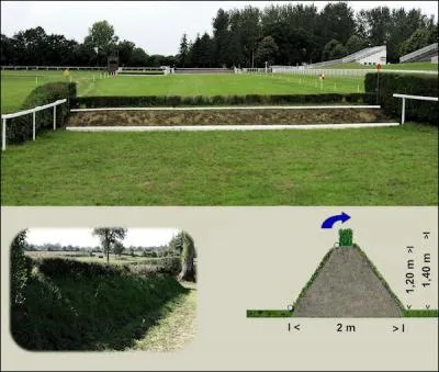 Quel est le nom de cet obstacle ?