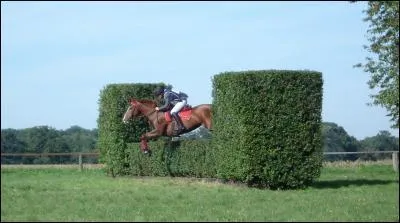 Quel est le nom de cet obstacle ?