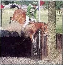 Quel est le nom de cet obstacle ?