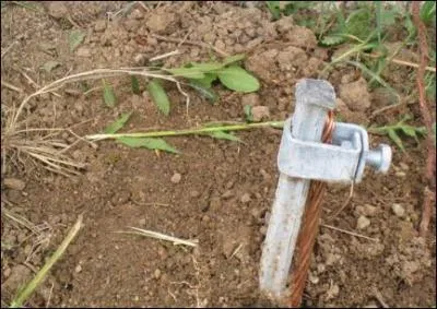 De quelle valeur doit-tre la terre pour un disjoncteur d'abonn de 500 ma ?