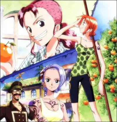 Qui est Nojiko pour Nami ?