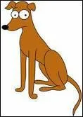 Comment s'appelle le chien ?
