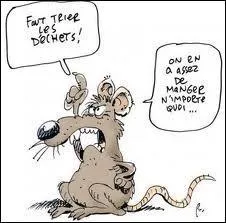 A quoi vous fait penser cette image ?