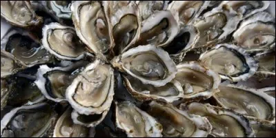 Que produisent les huîtres ?