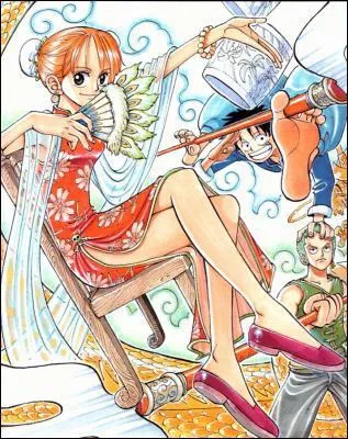 Qu'a fait Nami pour protger Pipo ?